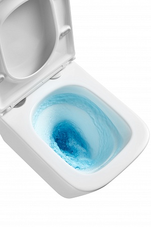 Подвесной унитаз безободковый Terminus Ватикан Monolit 490х340 белый Смоленск - фото 8 Подвесной унитаз безободковый Terminus Ватикан Monolit 490х340 белый Смоленск - фото 8