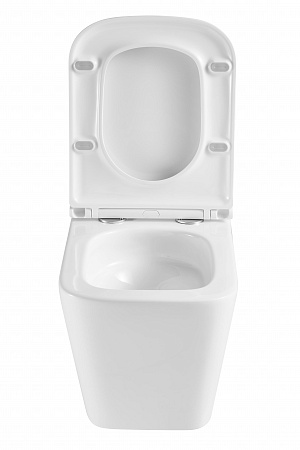 Подвесной унитаз безободковый Terminus Ватикан Monolit 490х340 белый Смоленск - фото 7 Подвесной унитаз безободковый Terminus Ватикан Monolit 490х340 белый Смоленск - фото 7