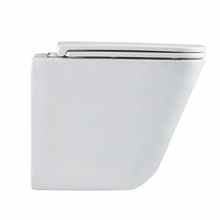 Подвесной унитаз безободковый Terminus Ватикан Monolit 490х340 белый Смоленск - фото 4 Подвесной унитаз безободковый Terminus Ватикан Monolit 490х340 белый Смоленск - фото 4