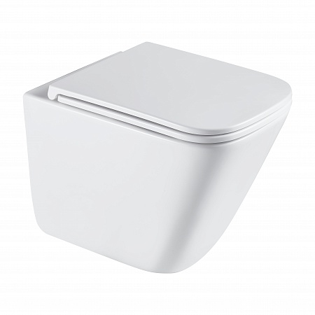 Подвесной унитаз безободковый Terminus Ватикан Monolit 490х340 белый Смоленск - фото 2 Подвесной унитаз безободковый Terminus Ватикан Monolit 490х340 белый Смоленск - фото 2