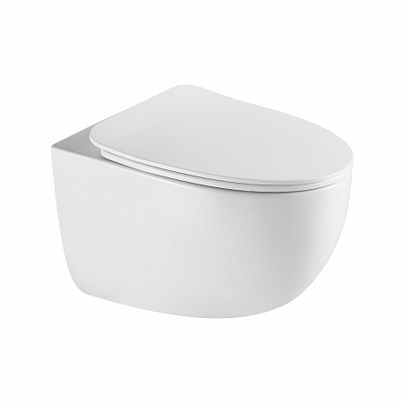 Подвесной унитаз безободковый Terminus Енисей Monolit 560х390 белый Смоленск - фото 2