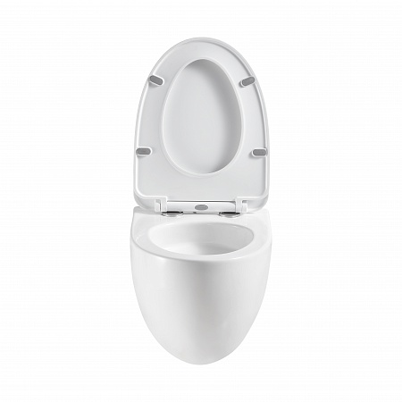 Подвесной унитаз безободковый Terminus Енисей Monolit 560х390 белый Смоленск - фото 5