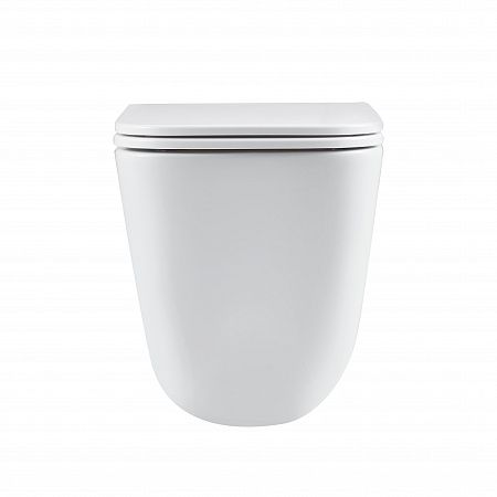 Подвесной унитаз безободковый Terminus Ватикан Monolit 490х340 белый Смоленск - фото 6 Подвесной унитаз безободковый Terminus Ватикан Monolit 490х340 белый Смоленск - фото 6