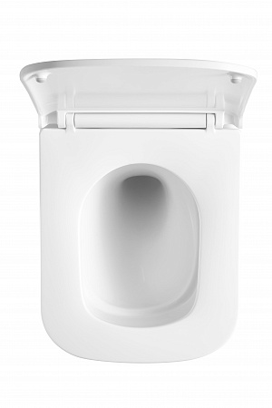 Подвесной унитаз безободковый Terminus Ватикан Monolit 490х340 белый Смоленск - фото 3 Подвесной унитаз безободковый Terminus Ватикан Monolit 490х340 белый Смоленск - фото 3